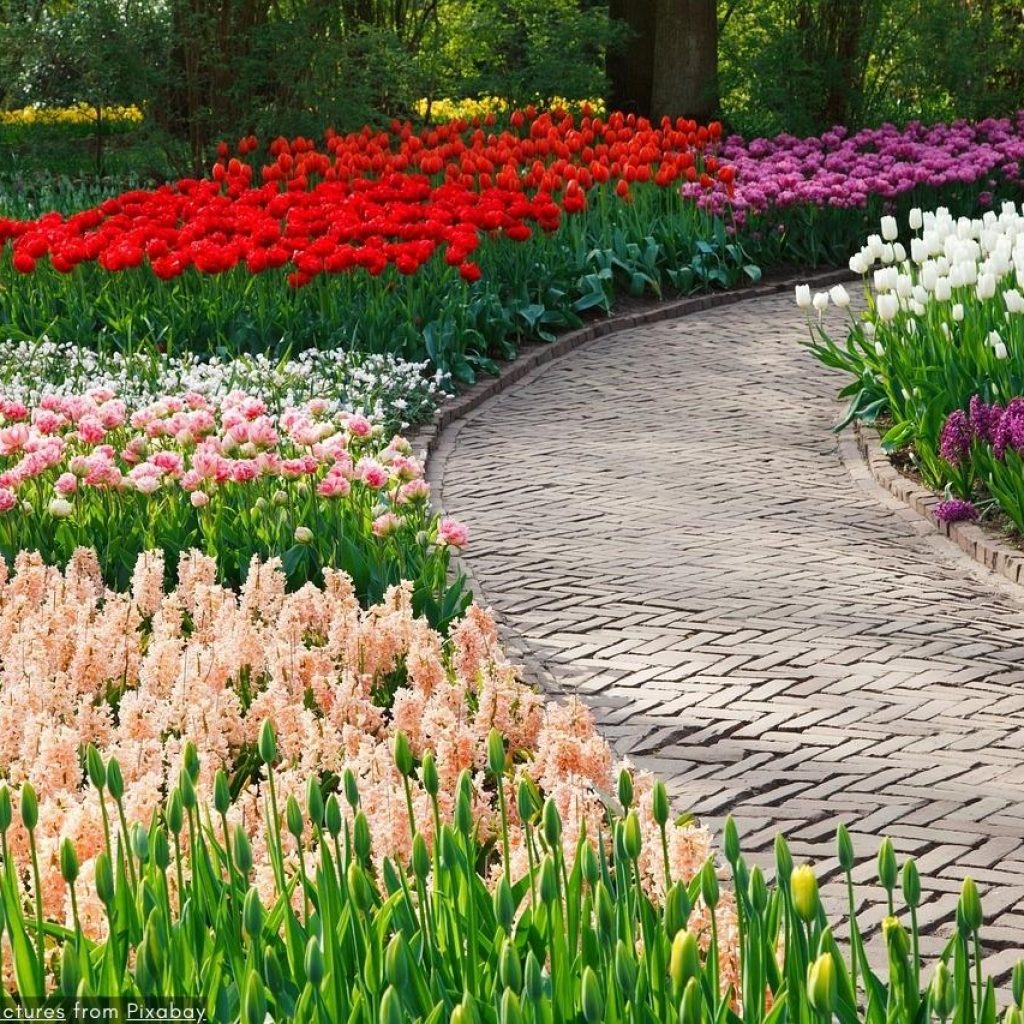 Tur Pribadi Keukenhof 2024 Terbaik - Taman Tulip Belanda