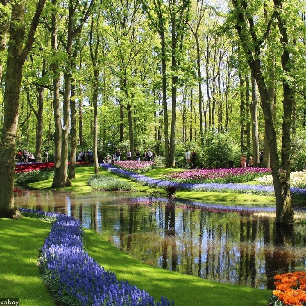 Melhor Excursão Privada A Keukenhof 2024 - Os Jardins De Tulipas Holandeses